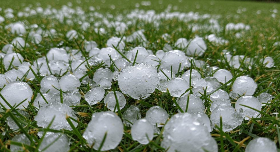 Severe Hail Storm Hits Cuero, Texas — Protect Your Roof Before It's Too Late